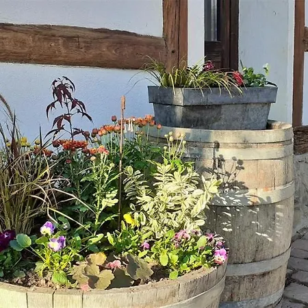 Aux 3 Marteaux Appartement *