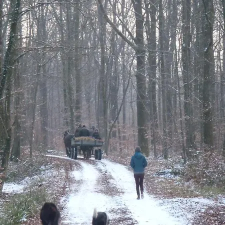 Appartement Aux 3 Marteaux Soppe-le-Haut