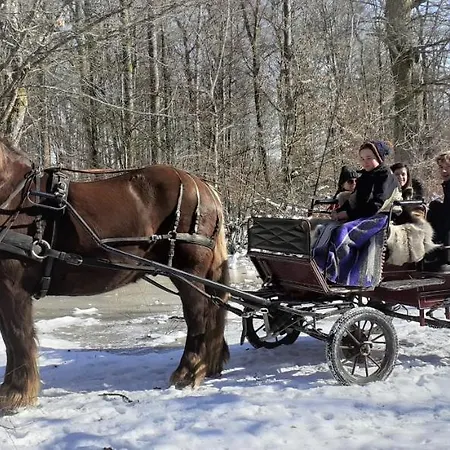Aux 3 Marteaux * Soppe-le-Haut